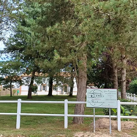 Maison Familiale Avec Babyfoot Et Piscine Chauffée - Fr-1-426-597 Soullans